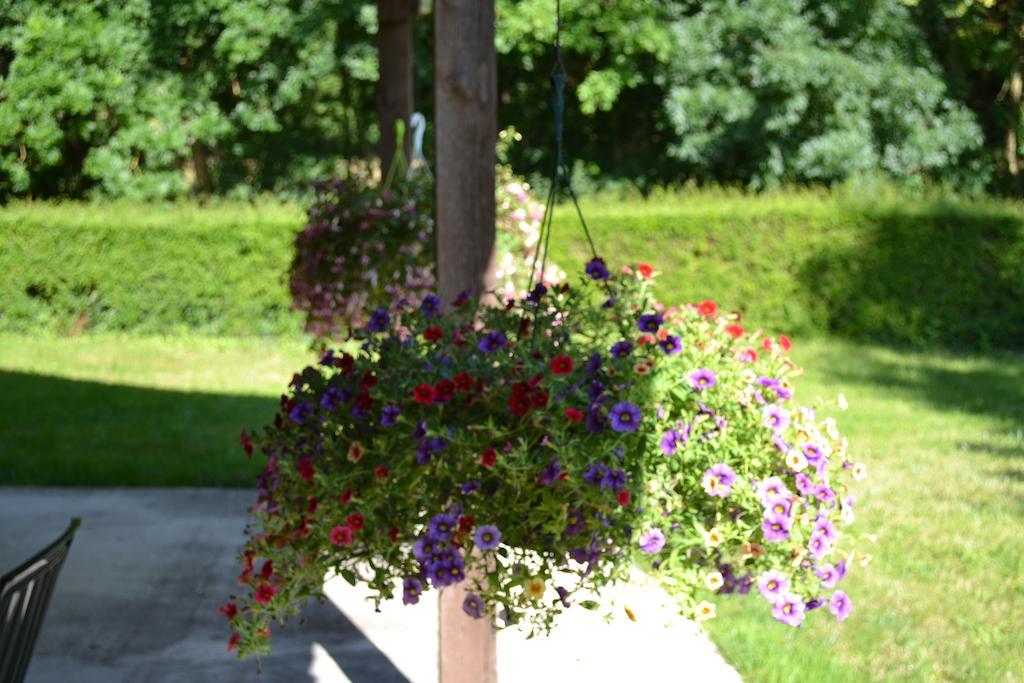 Bed and Breakfast Le Moulin De Lusseau Chef-Boutonne Экстерьер фото